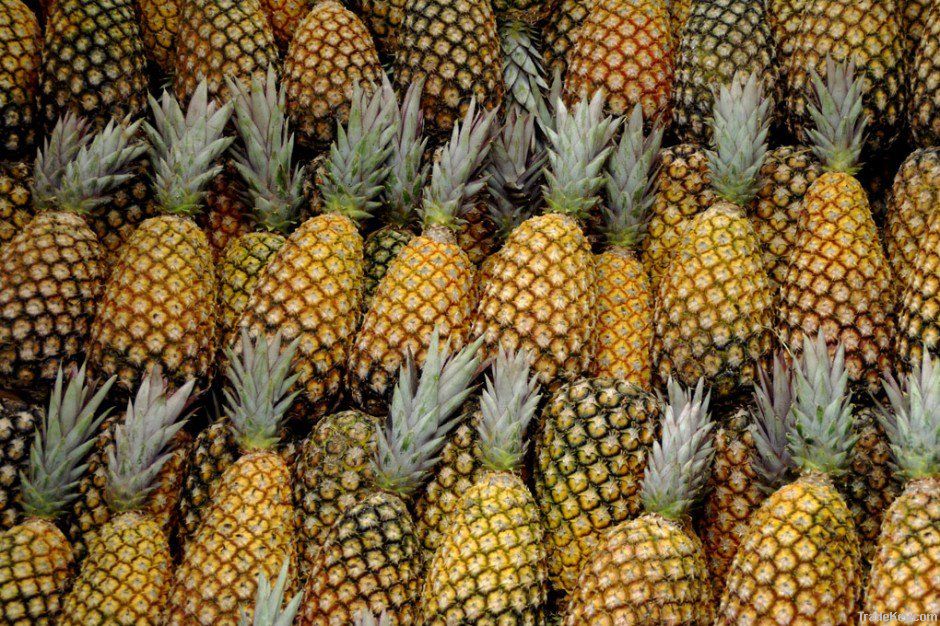 Pineapples