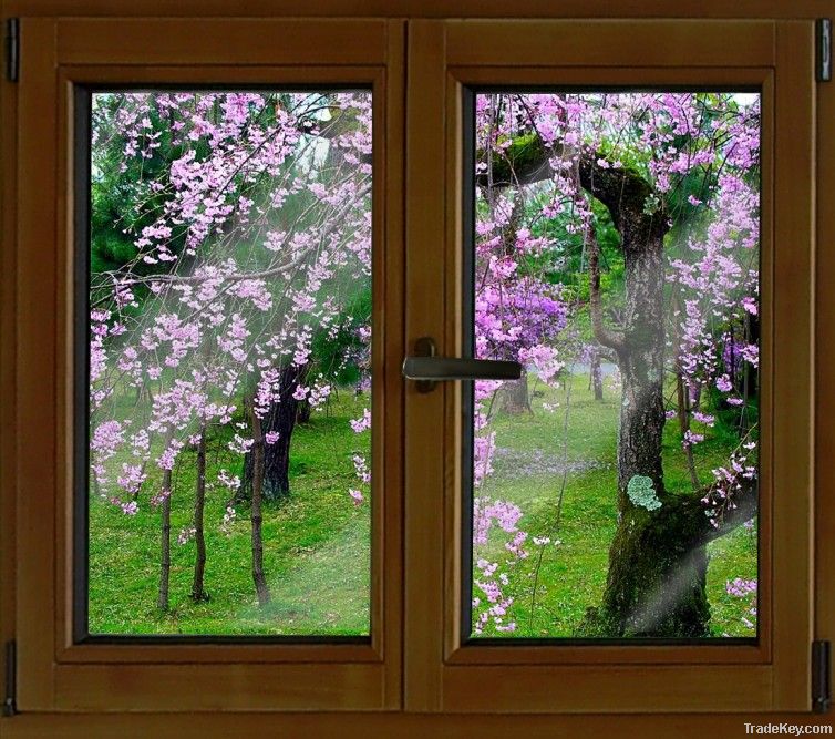 aluminum wooden windows