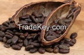 cocoa beans, cocoa powder, cocoa cream, cocoa oil, cocoa shell, cocoa seedlings