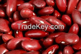 kidney beans, white beans, red beans, black beans