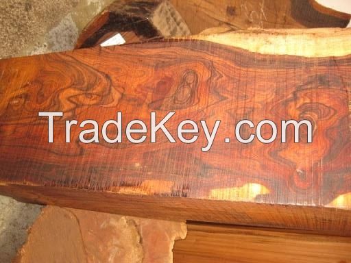 cocobolo wood,rose wood, dalbergia retusas, mexico rose wood logs