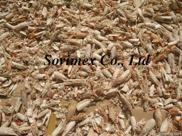 Dried shrimp shell