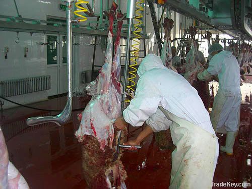 Muslim sheep slaughtering equipment