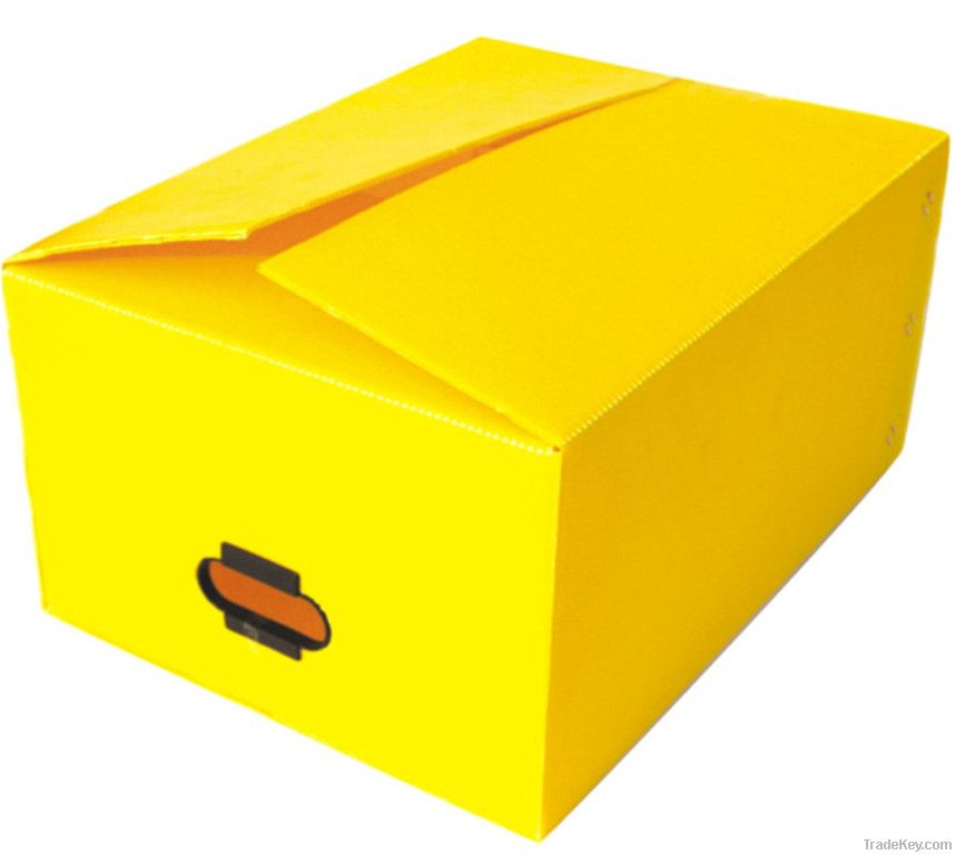 Eco-friendly Folding Plastic Corrugated Packing Box