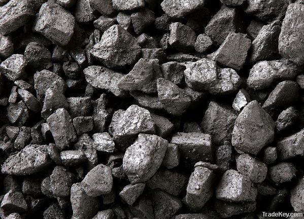 Hardwood Charcoal | Steam Coal