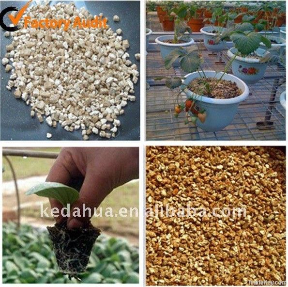 Expanded silver vermiculite