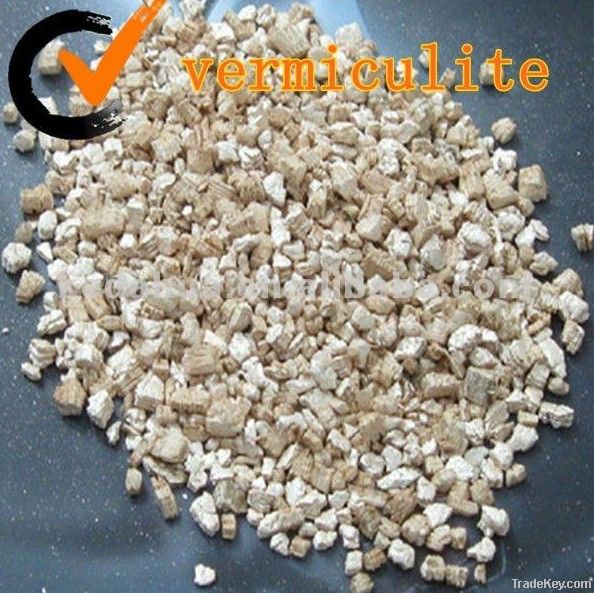 Expanded silver vermiculite