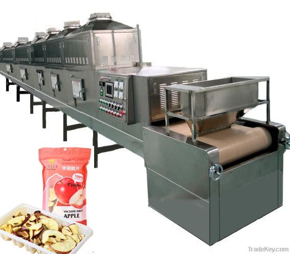 apple chips production line