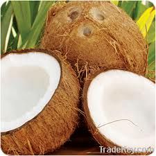 Coconut