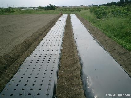 PE  Agricultural Mulching Film