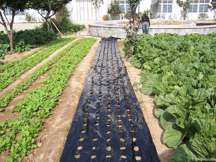 PE  Agricultural Mulching Film