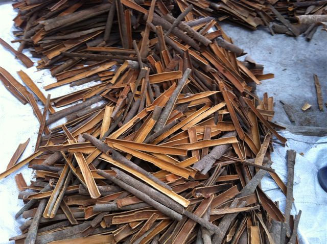 split, broken, whole, tube, stick, peeled  cassia / cinnamon