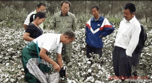 cotton picker