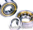 INA ---Cylindrical Roller Bearing   SL183072