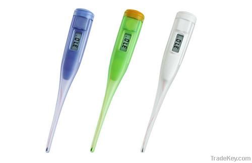 Digital Thermometer