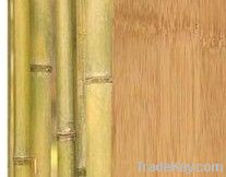 solid natural Bamboo flooring