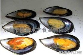 FROZEN COOKED HALF SHELL MUSSEL