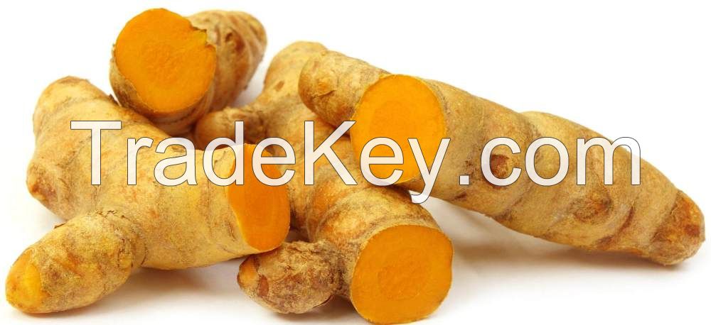 Curcumin Extract 5% & 10% water soluble Powder