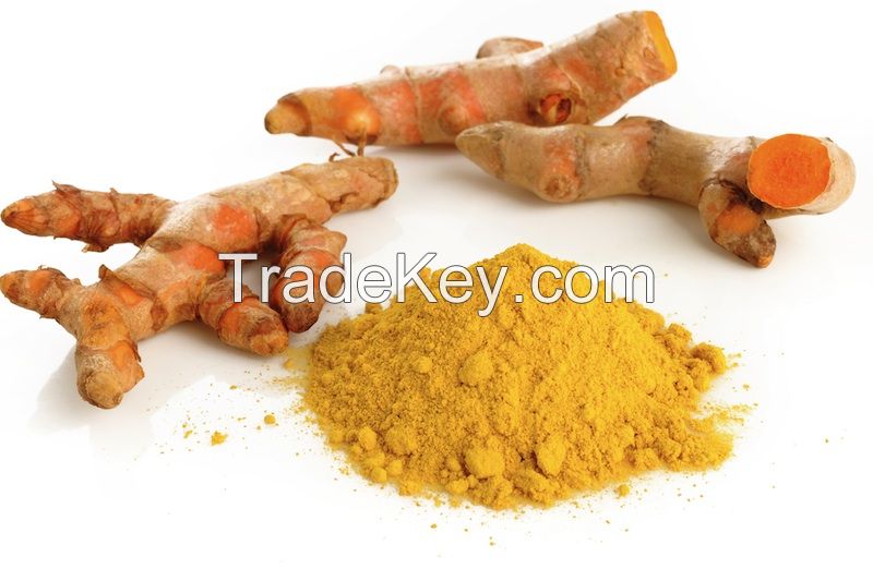 Curcumin Extract 95% By HPLC,