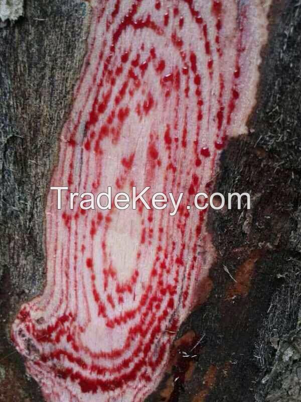 Red Rubber Wood