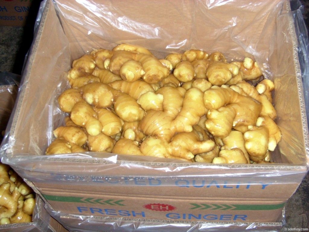 2012 fresh/dried ginger