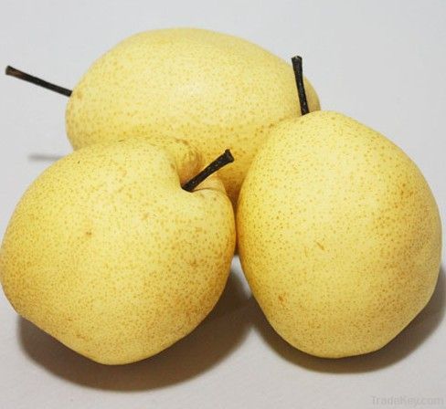 2012 China fresh pear
