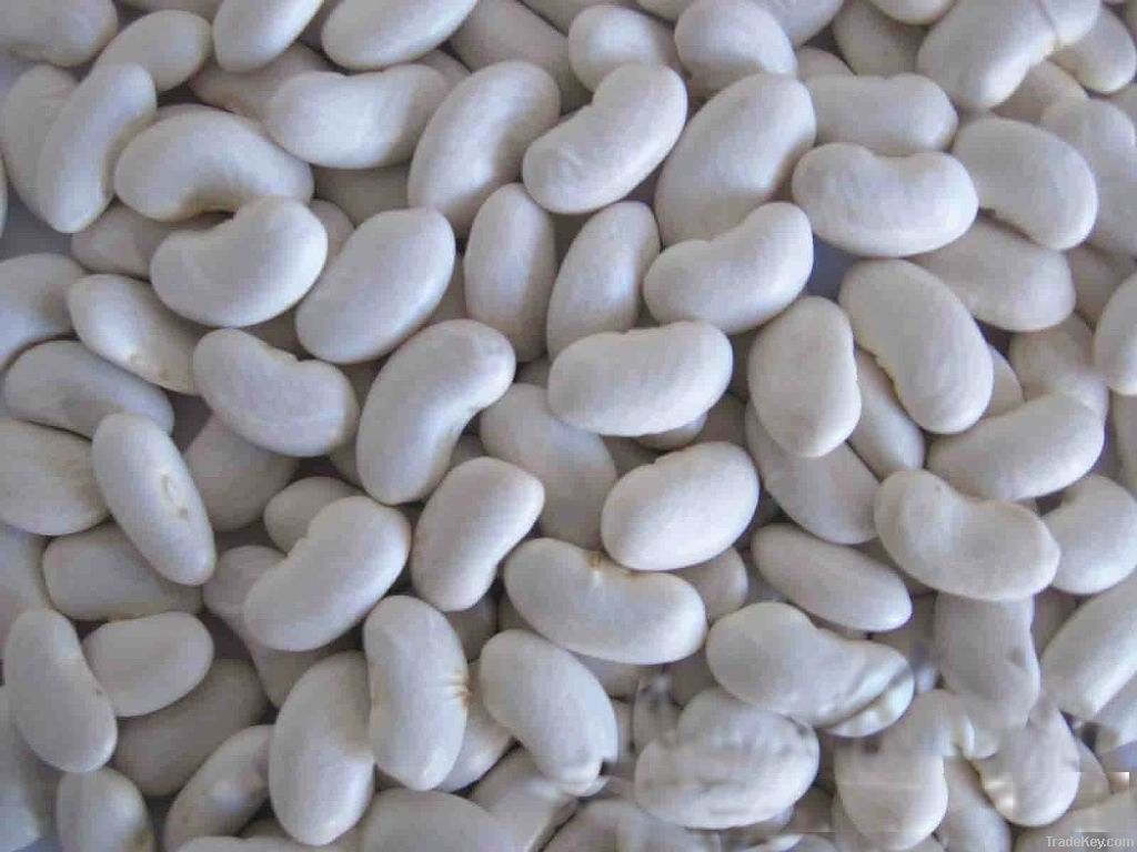 2012 dried white kidney bean