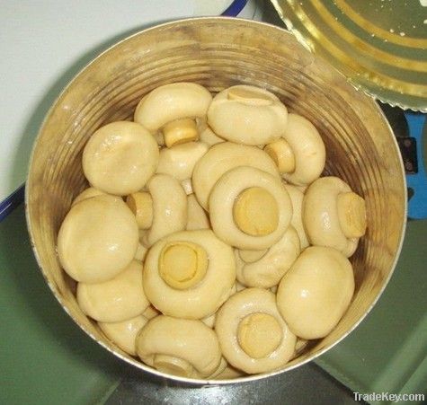 Canned mushroom whole