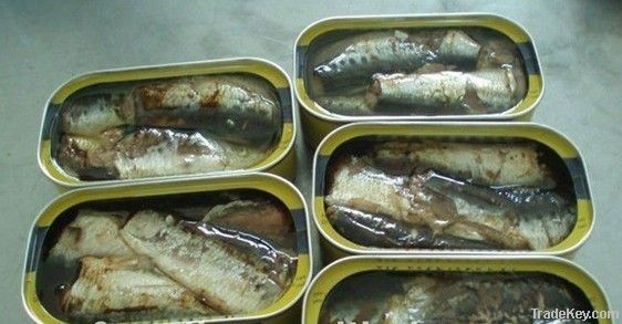 Canned Sardines in Oil
