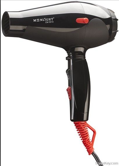 Professional Hair dryer