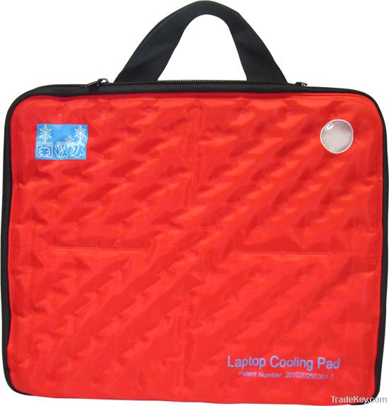 Laptop cooling bag