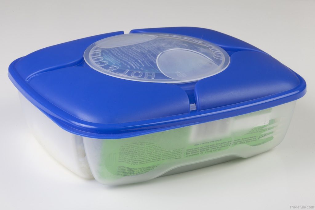 Big Divided Lunch Box with Spoon & Fork (0342)