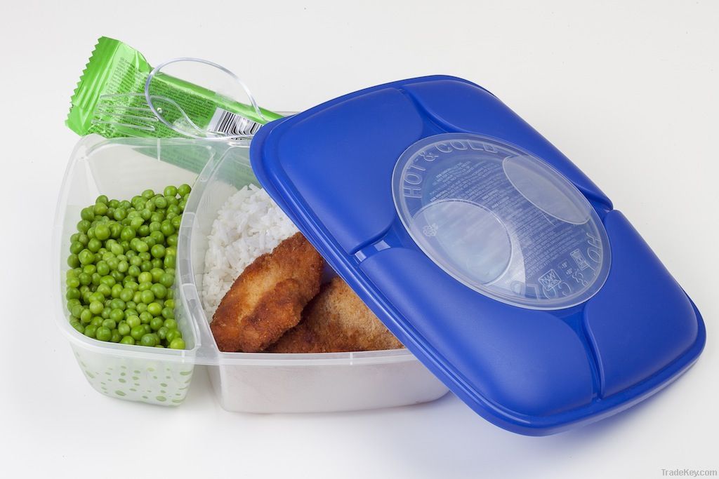 Big Divided Lunch Box with Spoon & Fork (0342)