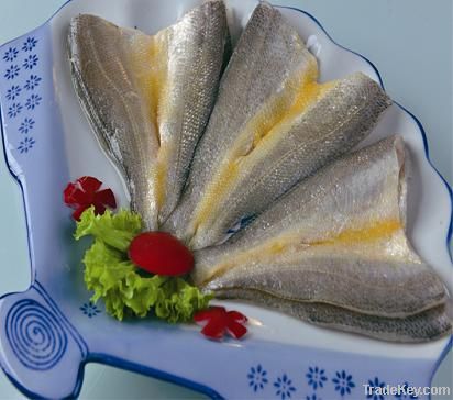 frozen fish fillet series