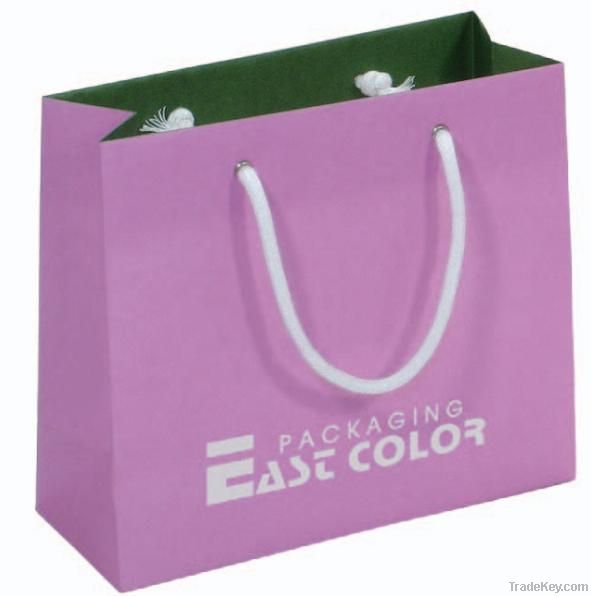 2012 Fashion gift paper shopping bag