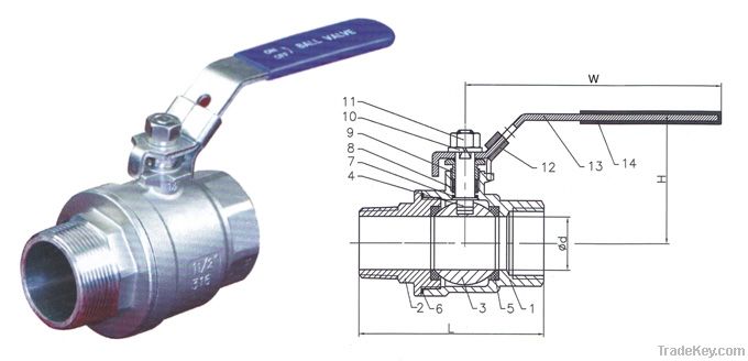 Stainless Steel Valves