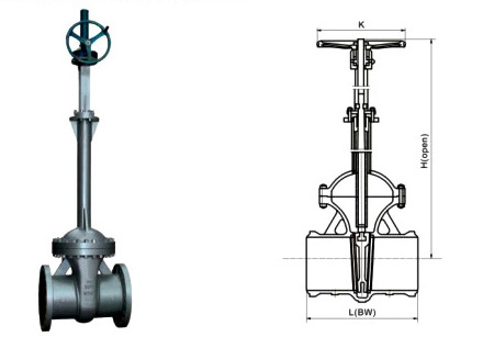 Bellows Gate Valve