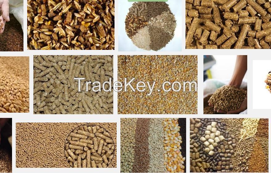 soybean meal,palm kernel meal,oatmeal,fishmeal By Time Enterprise, Malaysia