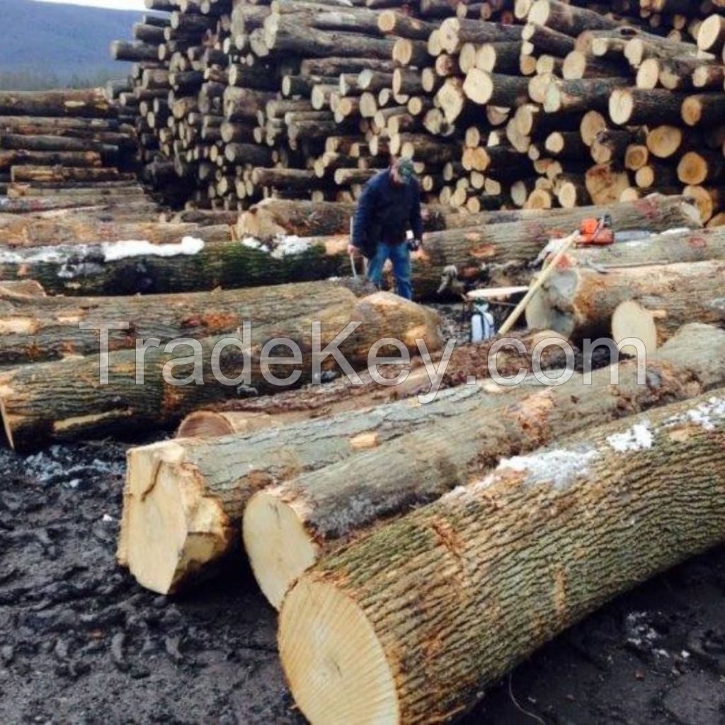 Hardwood Softwood Round Wood Logs