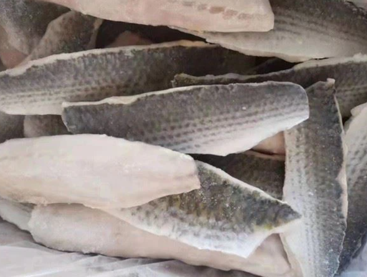 Frozen Grey Mullet Fish Fillet