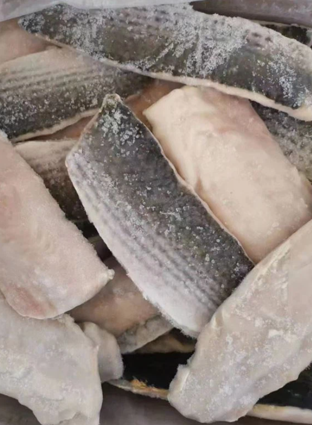 Frozen Grey Mullet Fish Fillet