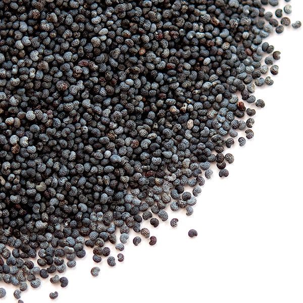 100% Pure Poppy Seeds For Sale