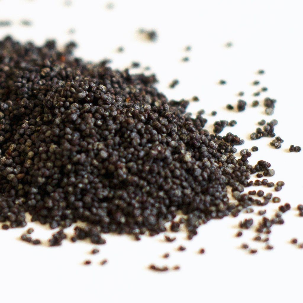 100% Pure Poppy Seeds For Sale