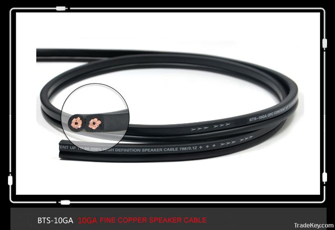 Speaker Cable (BTS-10GA)