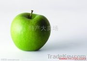 fruit apple 2