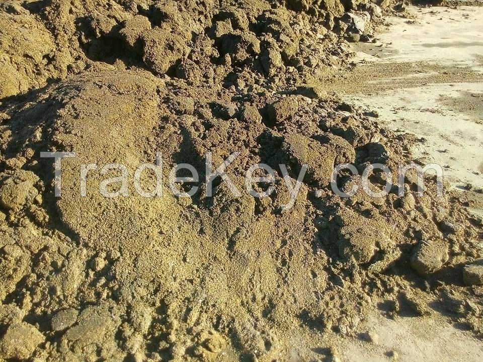 Copper Concentrate