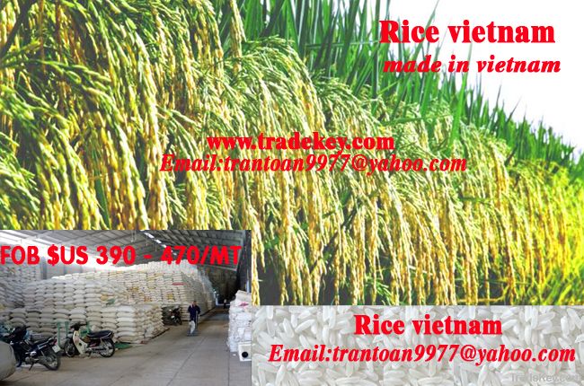 Rice | Rice Exporter | Rice Distributor | Rice Wholesaler | Rice Supplier | Rice Importer | Basmati Rice | Rice For Sale | Long Grain Rice Exporter | Buy Rice Online | Rice For Sale | Basmati Rice Exporter | Basmati Rice Wholesaler | Long Grain Rice buyer