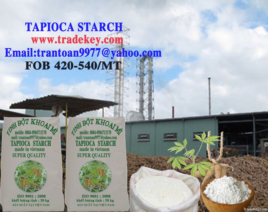 Tapioca Starch  vietnam