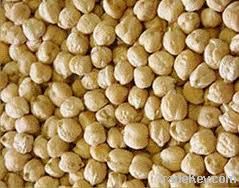 Grade 1 Kabuli Chickpeas,chickpeas suppliers,chick pea exporters,chickpea traders,kabuli chickpea buyers,desi chick peas wholesalers,low price chickpea,best buy chick peas