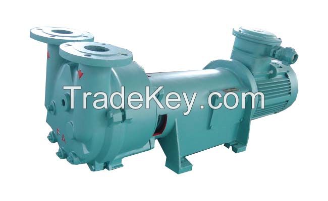 2BV 5131 Liquid Ring Vacuum Pumps